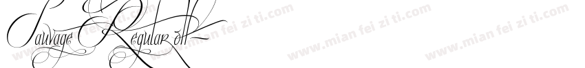 Sauvage Regular otf字体转换